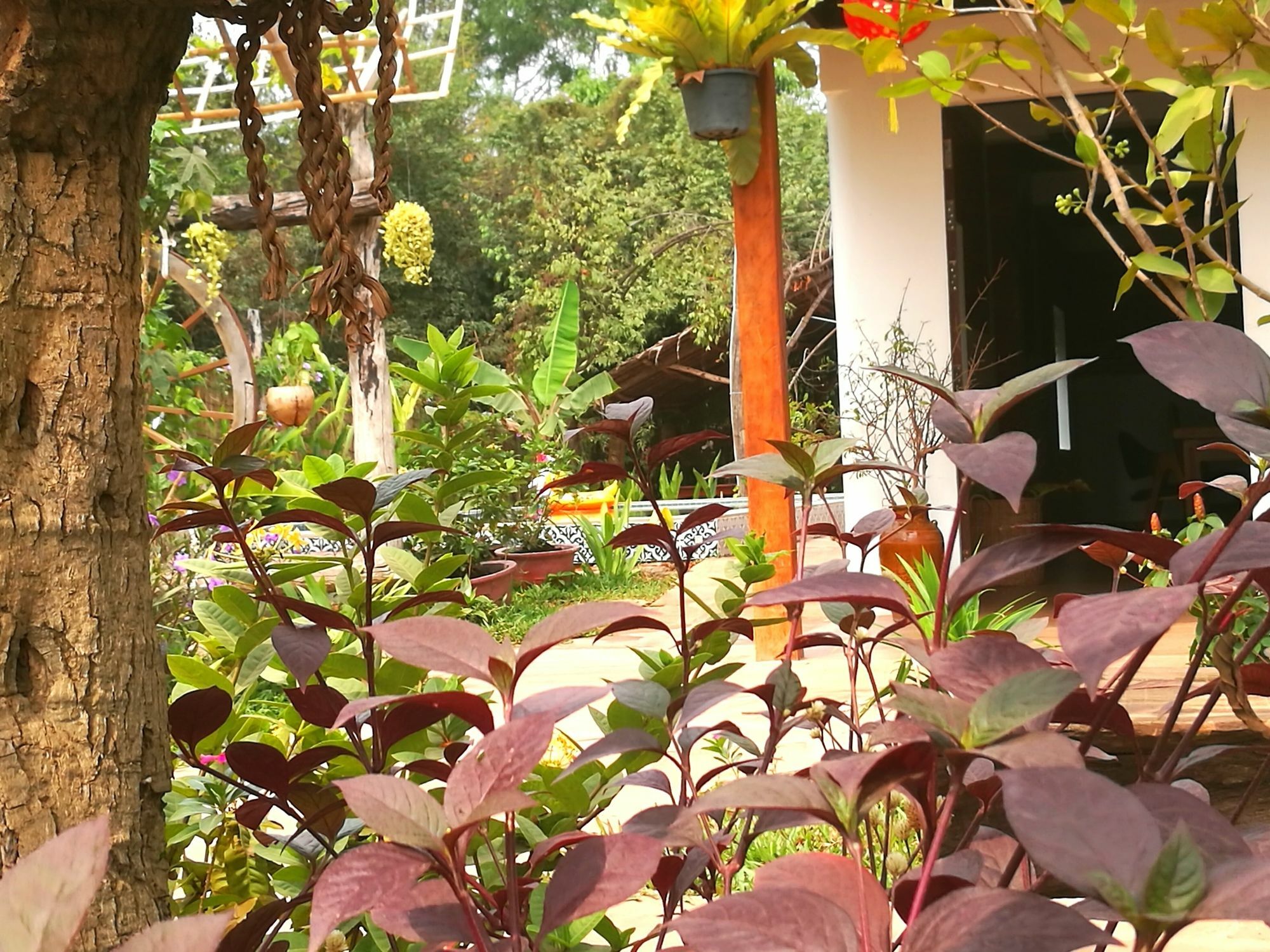 Angkor Dino B&B Σιέμ Ρέαπ Εξωτερικό φωτογραφία